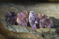 Natural Small Dark Amethyst Crystal Plates  x 70 From Mapatizya, Zambia - Toprock Gemstones and Minerals 