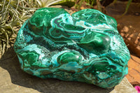 Polished Beautiful Extra Large Malacholla (Chrysocolla & Malachite) Free Form  x 1 From Congo - TopRock