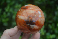 Polished Carnelian Agate Spheres  x 3 From Madagascar - Toprock Gemstones and Minerals 