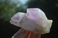 Natural Jacaranda Amethyst Clusters  x 3 From Mumbwa, Zambia - Toprock Gemstones and Minerals 