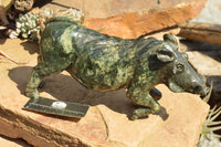 Polished Extra Large Serpentine Warthog Carving  x 1 From Zimbabwe - TopRock