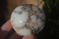 Polished Dendritic Opal Palm Stones  x 12 From Madagascar - Toprock Gemstones and Minerals 