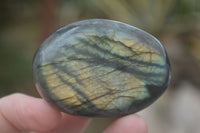 Polished Flashy Labradorite Palm Stones  x 14 From Tulear, Madagascar - Toprock Gemstones and Minerals 