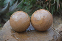 Polished Picture Stone Spheres  x 4 From Namibia