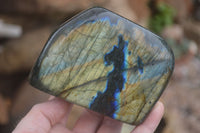 Polished Flashy Labradorite Standing Free Forms  x 3 From Madagascar - TopRock