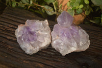 Natural Jacaranda Amethyst Clusters x 2 From Zambia