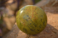 Polished  Green Opal Galet / Palm Stones x 7 From Antsirabe, Madagascar