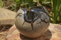 Polished Septerye Sauvage "Dragons Egg" x 1 From Mahajanga, Madagascar - TopRock