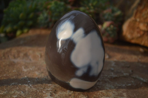 Polished Mixed Agate Standing Free Forms  x 4 From West Coast, Madagascar