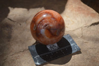 Polished Carnelian Agate Spheres  x 3 From Madagascar - Toprock Gemstones and Minerals 