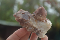 Natural Red Hematite Phantom Quartz Crystals  x 12 From Karoi, Zimbabwe - TopRock