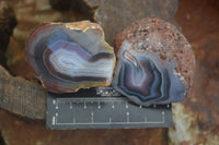 Polished Banded River Agate Nodules  x 6 From Sashe River, Zimbabwe - Toprock Gemstones and Minerals 