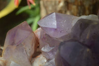 Natural Jacaranda Amethyst Cluster x 1 From Mumbwa, Zambia - TopRock