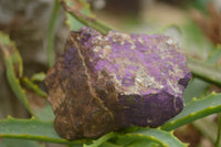 Natural Rough Purpurite Cobbed Specimens  x 6 From Namibia - TopRock