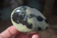 Polished Spotted Leopard Stone Gallets  x 12 From Zimbabwe