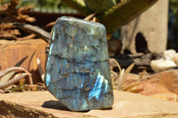 Polished Labradorite Standing Free Forms With Intense Blue & Gold Flash x 2 From Sakoany, Madagascar - TopRock