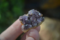 Natural Small Dark Amethyst Crystal Plates  x 70 From Mapatizya, Zambia - Toprock Gemstones and Minerals 