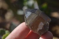 Natural Clear Smokey Quartz Crystals  x 20 From Southern Africa