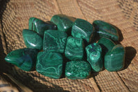 Polished Small Malachite Tumble Stones  x 20 From Congo - Toprock Gemstones and Minerals 