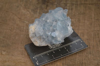 Natural Blue Celestite Crystal Specimens  x 6 From Madagascar - Toprock Gemstones and Minerals 