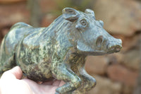 Polished Extra Large Serpentine Warthog Carving  x 1 From Zimbabwe - TopRock