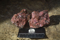 Natural Rough Red Rhodonite Specimens x 6 From Zimbabwe