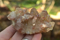 Natural Red Hematoid Phantom Quartz Clusters x 6 From Karoi, Zimbabwe - TopRock