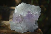 Natural Jacaranda Amethyst Clusters  x 3 From Mumbwa, Zambia - Toprock Gemstones and Minerals 