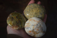 Polished Dendritic Opal Palm Stones  x 12 From Madagascar - Toprock Gemstones and Minerals 