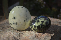 Polished Spotted Leopard Stone Gallets  x 12 From Zimbabwe