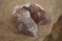 Natural Red Hematite Phantom Quartz Crystals  x 12 From Karoi, Zimbabwe - TopRock