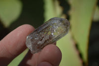 Natural Stunning Clear & Smokey Brandberg Quartz Crystals x 20 From Brandberg, Namibia