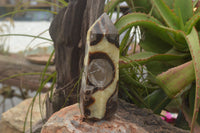 Polished Septaria (Yellow Calcite & Aragonite) Points x 2 From Mahajanga, Madagascar - TopRock