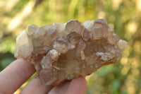 Natural Red Hematoid Phantom Quartz Clusters x 6 From Karoi, Zimbabwe - TopRock