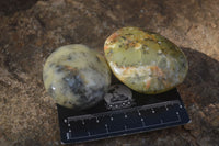 Polished Dendritic Opal Palm Stones  x 12 From Madagascar - Toprock Gemstones and Minerals 