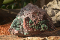 Natural Drusy Coated Ball Malachite On Dolomite Specimen x 1 From Southern Africa