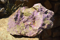 Natural Rough Purple Stichtite (Atlantisite) Specimens  x 3 From Barberton, South Africa - TopRock