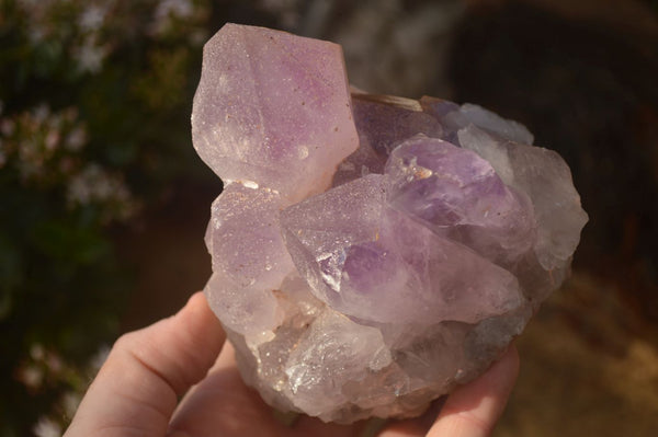 Natural Jacaranda Amethyst Clusters x 2 From Zambia