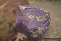 Natural Rough Purpurite Cobbed Specimens  x 6 From Namibia - TopRock