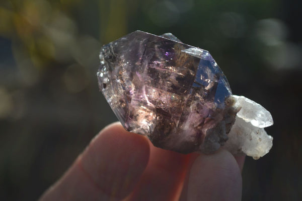 Natural Window Amethyst Quartz Crystals  x 12 From Chiredzi, Zimbabwe