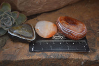 Polished Mixed Selection Of Galet / Palm Stones x 21 From South Africa