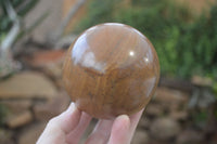 Polished Picture Stone Spheres  x 4 From Namibia