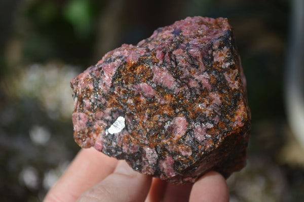 Natural Rough Red Rhodonite Specimens x 6 From Zimbabwe