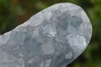 Polished Blue Celestite Standing Free Forms  x 2 From Sakoany, Madagascar - Toprock Gemstones and Minerals 