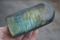 Polished Flashy Labradorite Standing Free Forms  x 3 From Madagascar - TopRock