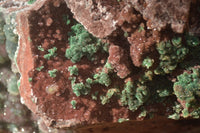 Natural Drusy Coated Ball Malachite On Dolomite Specimen x 1 From Southern Africa