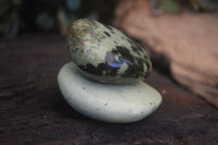 Polished Spotted Leopard Stone Gallets  x 12 From Zimbabwe