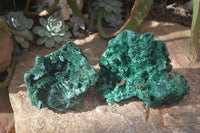 Natural Chatoyant Silky Malachite Specimens  x 2 From Kasompe, Congo