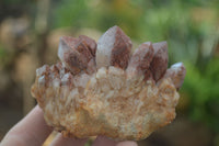 Natural Mixed Selection Of Quartz Specimens  x 6 From Southern Africa - Toprock Gemstones and Minerals 