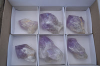 Natural Jacaranda Amethyst Clusters  x 6 From Mumbwa, Zambia - Toprock Gemstones and Minerals 